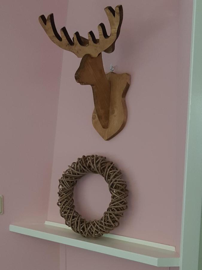 Chalet Hoenderloo Spar المظهر الخارجي الصورة